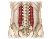 Corevo Deep Core System