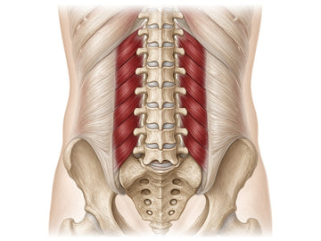 Corevo Deep Core System