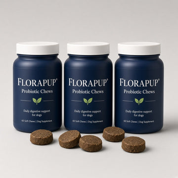 Florapup Probiotic Chews