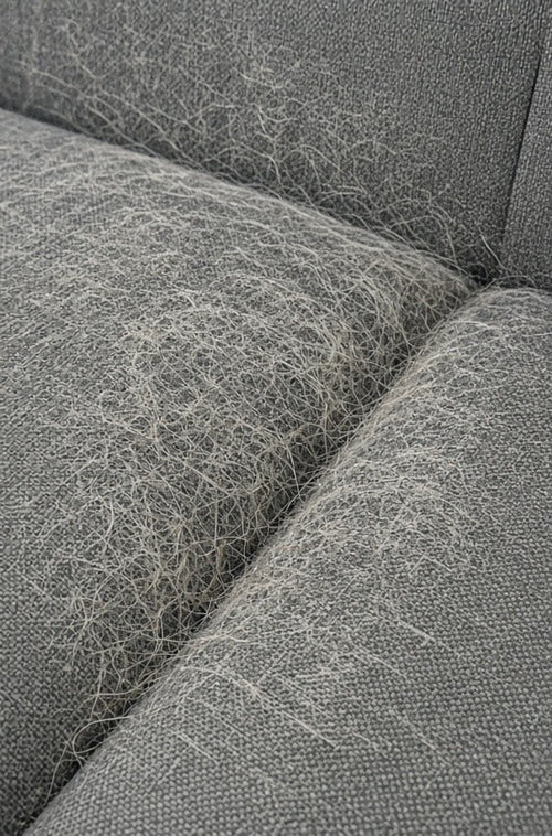 Sofa creases and pet beds - BEFORE