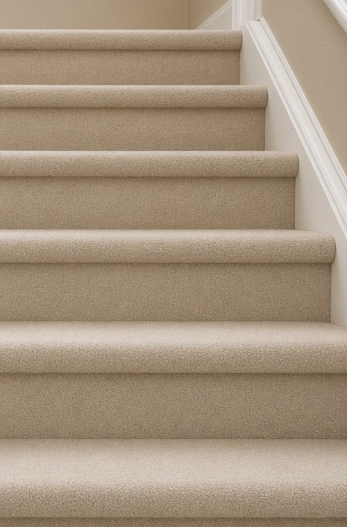 Carpeted stairs - AFTER