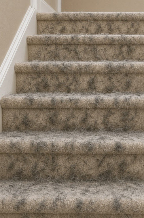 Carpeted stairs - BEFORE